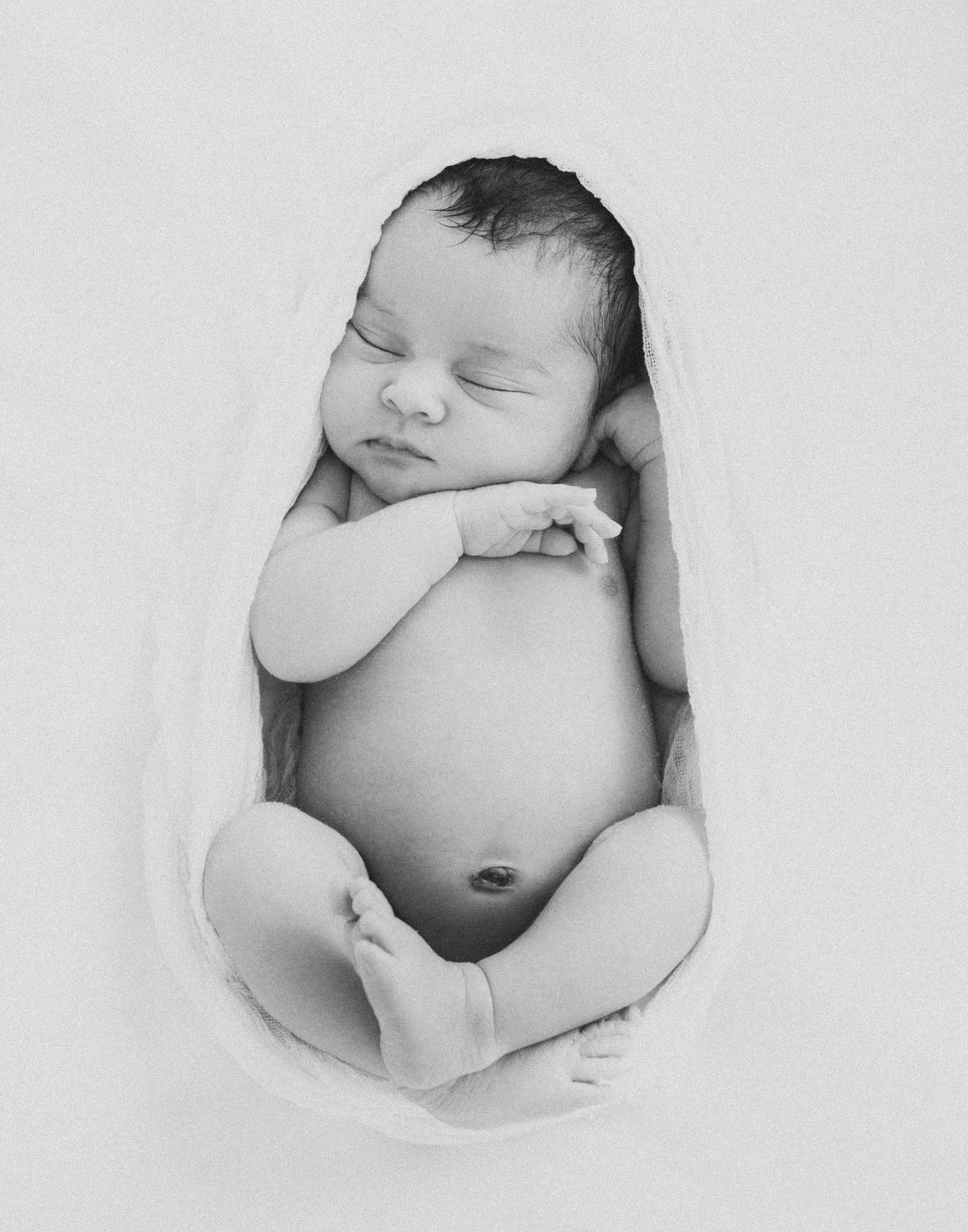 Portrait - Newborn